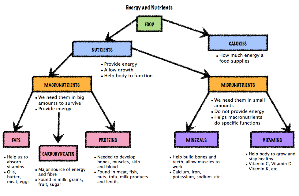 Forms Of Energy Flow Chart